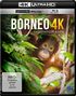 Attila Tenki: Borneo - Faszination Asien (4K Ultra HD Blu-ray & Blu-ray), UHD