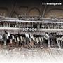 Text oben: "trio avantgarde". 
Text Mitte: "schade". 
Ansicht eines alten, verfallenen Klaviers mit sichtbaren Mechanikteilen.