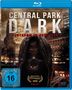 Cybil Lake: Central Park Dark (Blu-ray), BR
