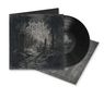 Aufschrift: "THE RUINS". Ein Schallplattencover mit düsterem, mystischem Wald und Grabsteinen., LP