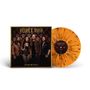 „VELVET RUSH TRAIL OF GOLD“ steht auf einem Albumcover mit vier Personen. Rechts eine orange-gelbe Schallplatte., LP