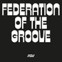 Federation Of The Groove: Federation Of The Groove (180g), LP, LP