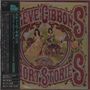 Steve Gibbons: Short Stories (Digisleeve), CD