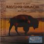 "Robert Plant Saving Grace with Suzi Dian" sind in großen Buchstaben über einem Büffel in einer Landschaft zu lesen., CD