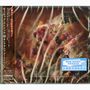 Morbid Angel: Kingdoms Disdained, CD