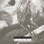 David Sylvian: Secrets Of The Beehive (SHM-CD) (reissue) (remastered), CD