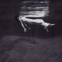 Bill Evans & Jim Hall: Undercurrent (SHM-CD), CD