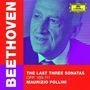 Ludwig van Beethoven: Klaviersonaten Nr.30-32 (Ultimate High Quality CD), CD