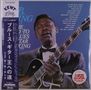 Kent, RPM, B.B. King, Songtitel auf Englisch. Japanischer Text. Ein Mann in Anzug spielt Gitarre, wirkt emotional., LP