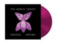 "The March Violets" und "Natural History" auf schwarzem Hintergrund mit violetter Blume und pinker Vinyl-Schallplatte., LP