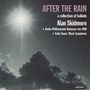 Alan Skidmore (geb. 1942): After The Rain, CD