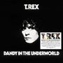 T.Rex (Tyrannosaurus Rex): Dandy In The Underworld (180g), LP