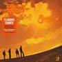 Flaming Ember: Sunshine Sunshine (180g), LP, LP