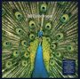 The Bluetones: Expecting To Fly (25th Anniversary) (180g) (Limited Edition Deluxe Box) (Blue Vinyl), LP,LP,LP