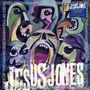 Jesus Jones: Some Of The Answers, 15 CDs