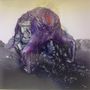 Björk: Vulnicura (180g) (Deluxe Edition), LP,LP
