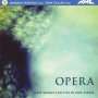 : Darragh Morgan & Mary Dullea - Opera, CD