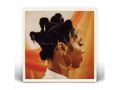 Hollie Cook: Shy Girl, CD