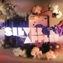 Silver Apples: Clinging To A Dream, 2 LPs