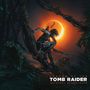 Brian OST/D'Oliveira: Shadow Of The Tomb Raider (remastered) (180g) (Blue & Orange Vinyl), LP,LP