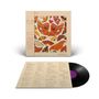 "Talk Talk", "The Colour of Spring", Schmetterlingsmuster auf Plattencover, schwarze Vinyl-Schallplatte mit beige Liedtextblatt.
