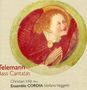 Georg Philipp Telemann: Kantaten für Bass, CD
