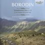 Alexander Borodin (1833-1887): Symphonien Nr.1-3, 2 CDs