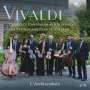 Antonio Vivaldi: Konzerte & Symphonien für Streicher, CD,CD,CD,CD