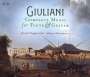 Mauro Giuliani (1781-1829): Sämtliche Werke für Flöte & Gitarre, 4 CDs