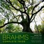 Johannes Brahms (1833-1897): Klaviertrios Nr.1-3, CD