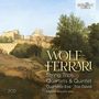 Ermanno Wolf-Ferrari (1876-1948): Streichtrios,Streichquartette,Streichquintett, 2 CDs
