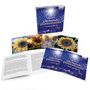 : Jeroen van Veen - Merry Christmas Pianomania (Steelbox mit 4 Postkarten), CD,CD