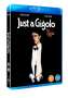 David Hemmings: Just A Gigolo (1978) (Blu-ray) (UK Import), BR