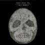 Bonnie 'Prince' Billy: I See A Darkness, CD