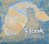 Flook: Flatfish, CD