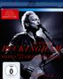 Lindsey Buckingham: Songs From The Small Machine: Live In L.A. 2011 (EV Classics), BR