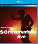 Primal Scream: Screamadelica Live, BR