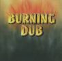 The Revolutionaries: Burning Dub, CD