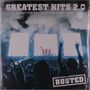 "Greatest Hits 2.0", "Another Present for Everyone", "Busted". Silhouetten einer Band auf der Bühne, umgeben von Fans., 2 LPs