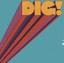 Text "DIG!" in fetten, orangefarbenen Lettern auf blauem Hintergrund, Illustration mit bunten Streifen., CD