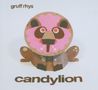 Gruff Rhys (Super Furry Animals): Candylion, CD