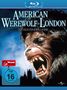 American Werewolf (Special Edition) (Blu-ray), Blu-ray Disc