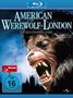 John Landis: American Werewolf (Special Edition) (Blu-ray), BR