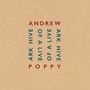 Andrew Poppy: Ark Hive Of Live, 4 CDs, 4 CDs