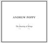 ANDREW POPPY. The Beating of Wings. Minimalistisches Design mit doppeltem Rahmen., CD