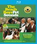 The Beach Boys: Classic Albums: Pet Sounds, BR