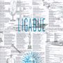 Ligabue (Luciano Ligabue): Ligabue, CD
