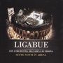 Ligabue (Luciano Ligabue): Setti Notti In Arena (CD + DVD), 1 CD und 1 DVD, 1 CD und 1 DVD