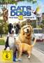 Cats & Dogs 3 - Pfoten vereint!, DVD