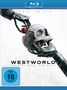 Westworld Staffel 4: Die Wahl (finale Staffel) (Blu-ray), 2 Blu-ray Discs